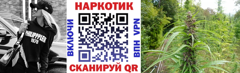 Купить закладку А ПВП  Мефедрон  ГАШИШ  Канабис  Купино