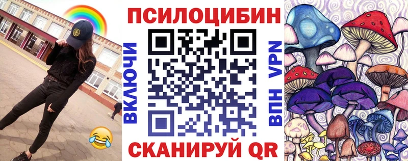 Псилоцибиновые грибы GOLDEN TEACHER  Купить закладки  Купино 